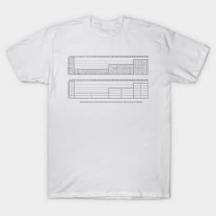 Long-Period Mendeleev Table and the Corresponding Energy Sublevels T-Shirt